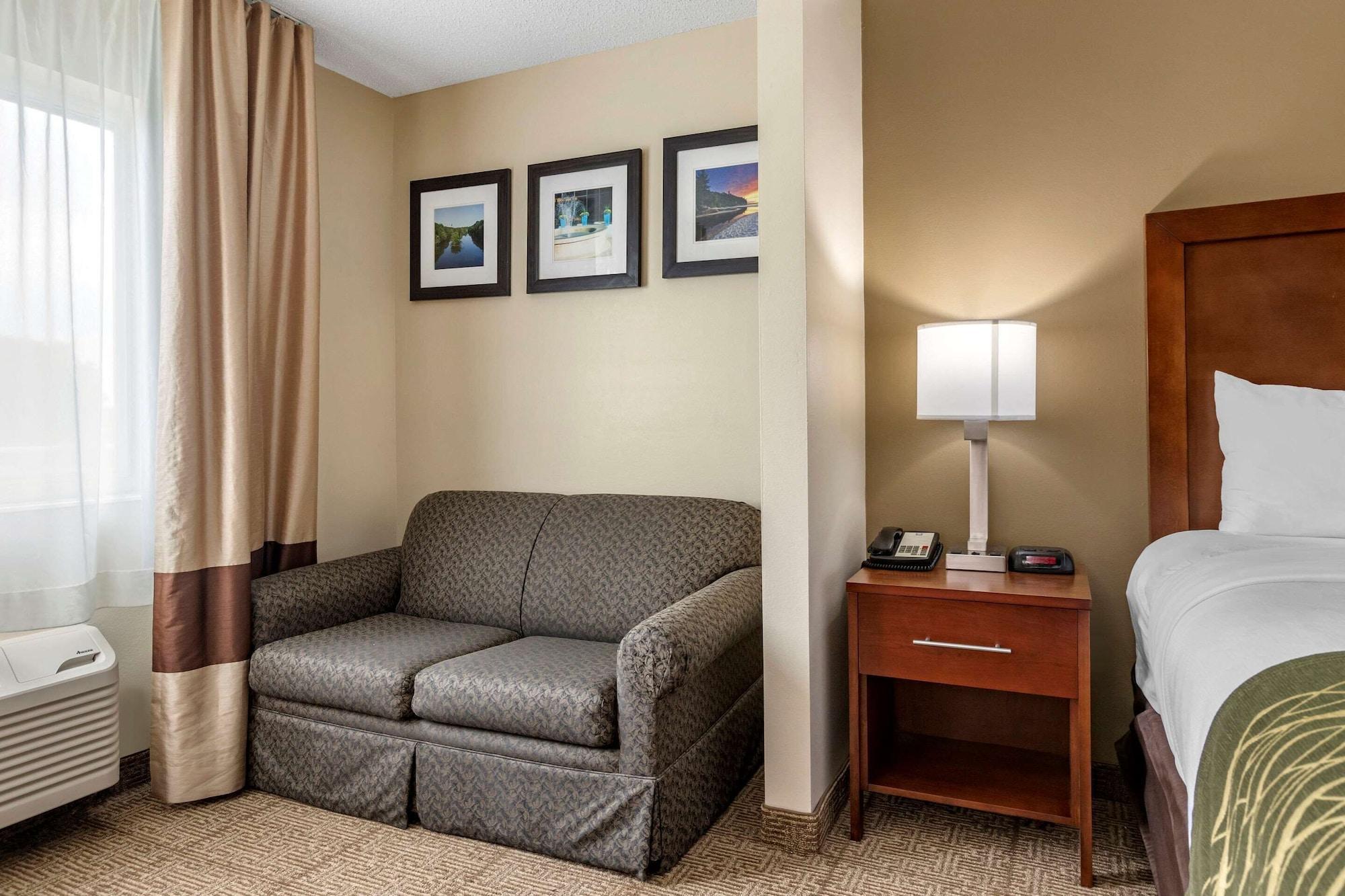 Comfort Inn & Suites Dimondale - Lansing Exterior foto